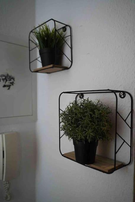 Luftiges Apartment Im Herzen Von Dresden Exteriör bild