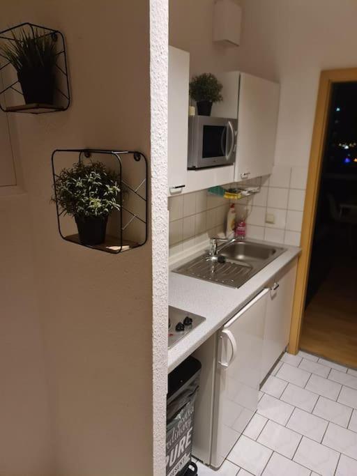 Luftiges Apartment Im Herzen Von Dresden Exteriör bild